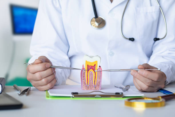Best Broken or Cracked Tooth Emergency Dentist in Palo Cedro, CA